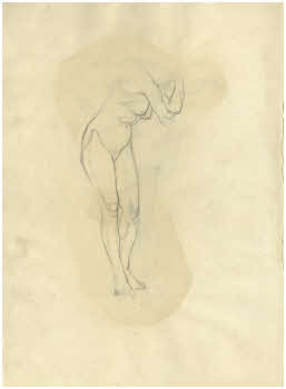 Visualizza l'immagine "FD Album 11, 7 v."